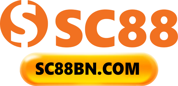sc888d.com